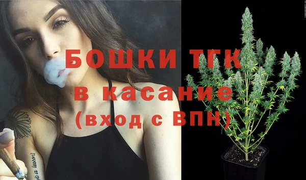 PSILOCYBIN Абаза