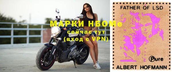 стаф Абинск
