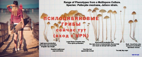 винт Абдулино