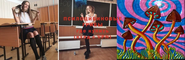 стаф Абинск