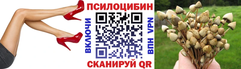 blacksprut tor  Воронеж  Псилоцибиновые грибы Psilocybine cubensis 