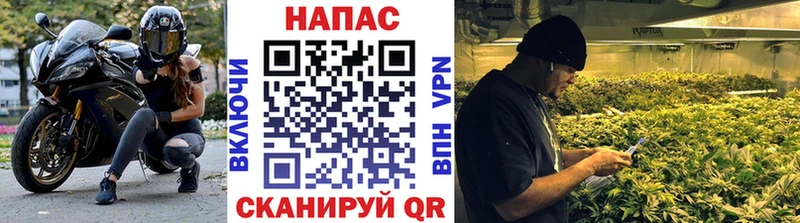 Бошки Шишки сатива где найти KRAKEN Воронеж